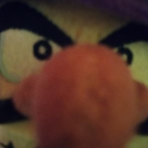 Meet your Posher, Dalton